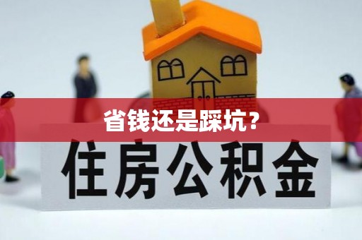 管理省钱还是踩坑？