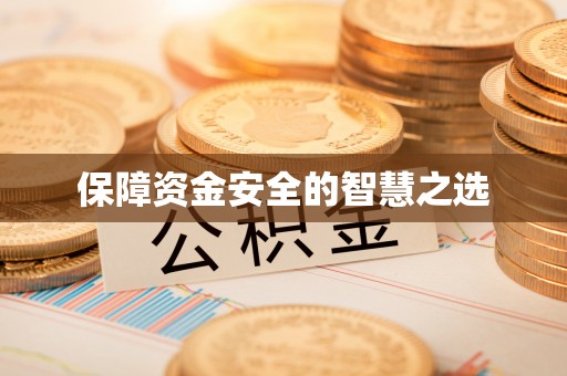 管理保障资金安全的智慧之选