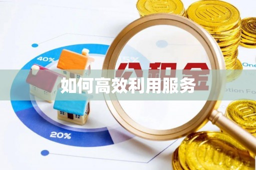 管理如何高效利用服务