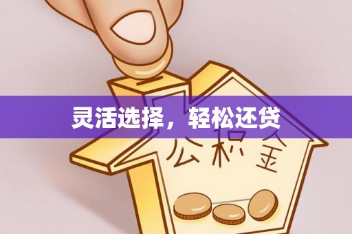管理灵活选择，轻松还贷