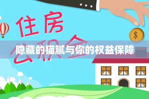 管理隐藏的猫腻与你的权益保障