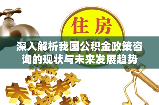 管理深入解析我国公积金政策咨询的现状与未来发展趋势