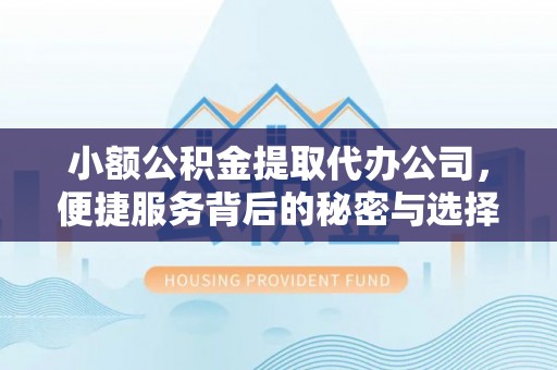 管理小额公积金提取代办公司，便捷服务背后的秘密与选择指南