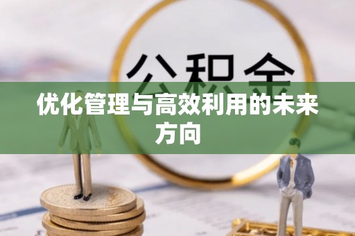 管理优化管理与高效利用的未来方向