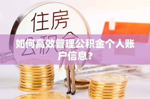 管理如何高效管理公积金个人账户信息？