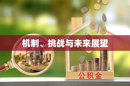 管理机制、挑战与未来展望