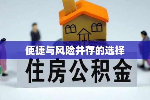 管理便捷与风险并存的选择