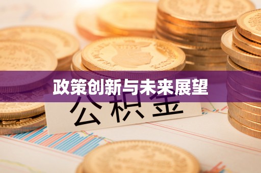 管理政策创新与未来展望