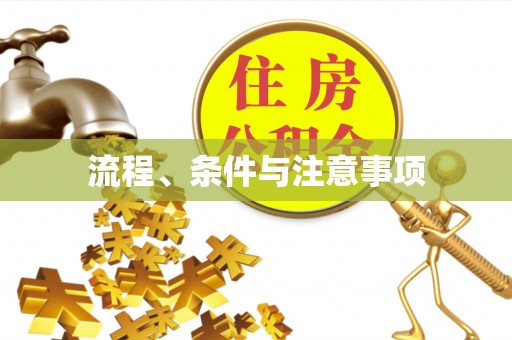 管理流程、条件与注意事项